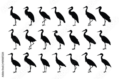 Bird Silhouette Collection: A detailed collection of elegant bird silhouettes, each capturing a unique pose, creating a sense of fluidity and grace.