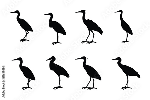 Heron Silhouettes: Striking monochrome silhouettes of elegant herons in various poses, perfect for design elements, evoke a sense of natural beauty and grace.