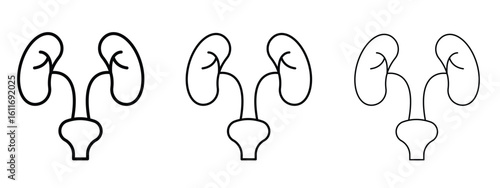Urology icons. Outline or line icon design bundle.