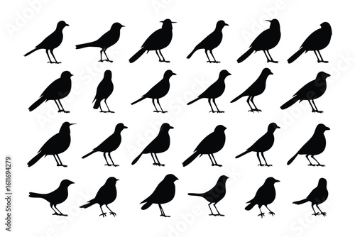 Shadowy Starlings Silhouette: A carefully curated collection of silhouette outlines depicts a flock of starlings, showcasing a study of avian forms in their natural poses.