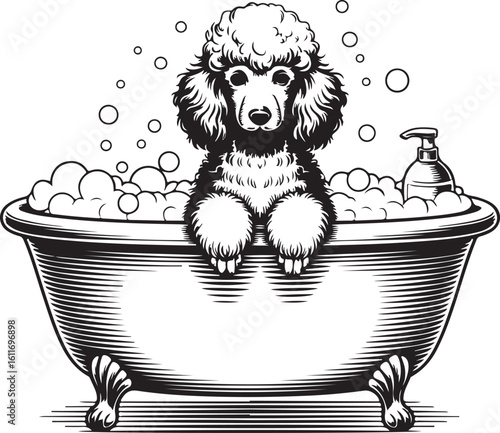 Poodle in Bathtub Vector Illustration with Bubbles and Grooming Items
