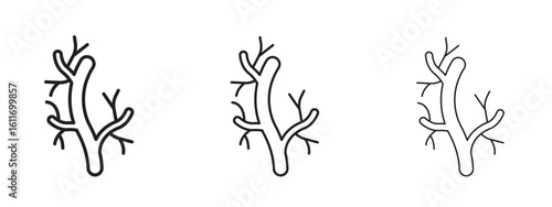 Human artery icons. Outline or line icon design bundle.