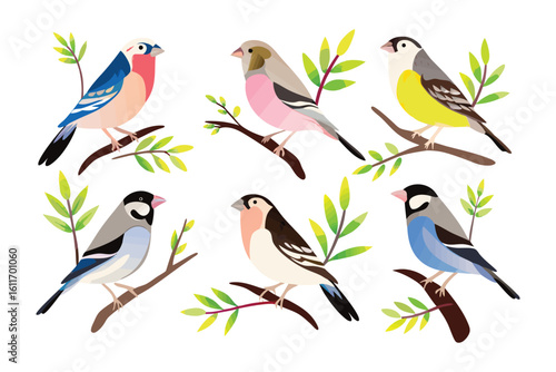 Harmonious Aviary: A colorful collection of six unique birds perches serenely on delicate tree branches, surrounded by verdant foliage, creating a visual feast.