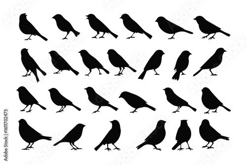 Birds Silhouette Illustration: A collection of various birds' silhouettes elegantly displayed against a pristine backdrop, perfect for graphic design and nature-themed projects.