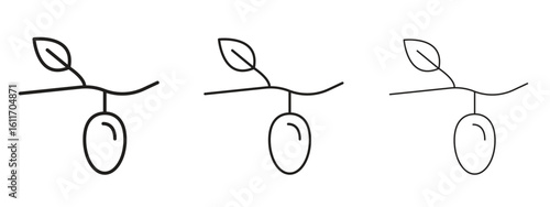 Cocoon icons. Outline or line icon design bundle.