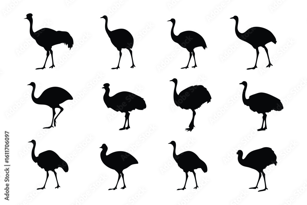 Obraz premium Emu Silhouette Display: A captivating array of emu silhouettes elegantly displayed against a backdrop, each a minimalist representation of the bird.