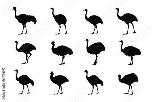Emu Silhouette Display: A captivating array of emu silhouettes elegantly displayed against a backdrop, each a minimalist representation of the bird.