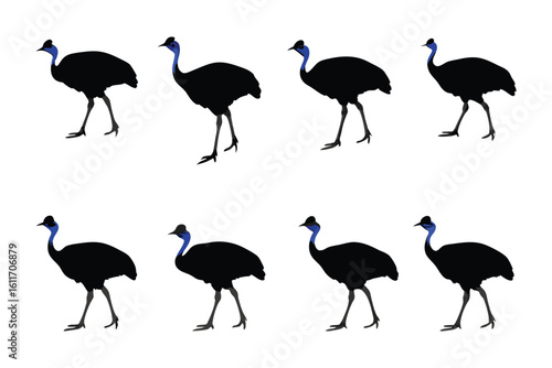 Cassowary Silhouettes: Eight cassowary silhouettes strut across a clean background, their striking forms providing visual intrigue, conveying a sense of rhythmic movement and unique biodiversity.