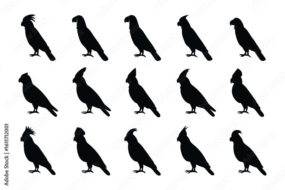 Obraz premium Silhouette Parrots: A captivating collection of parrot silhouettes, a simple, powerful monochromatic design, evoking the essence of nature's vibrant birds. 