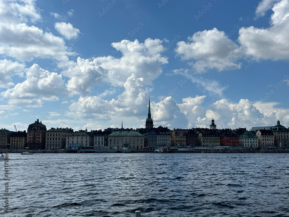 Fototapeta premium view of the river thames