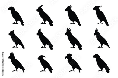 Bird Silhouettes Pattern: A captivating pattern featuring diverse silhouettes of birds, inviting viewers to appreciate the elegant simplicity of avian forms in a striking artistic display.