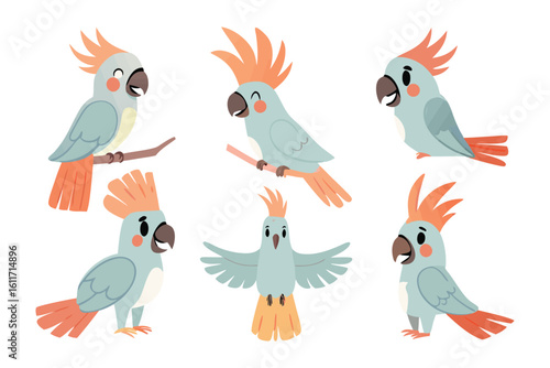 Playful Parrot Collection: A vibrant collection of adorable parrots, each exhibiting a unique personality and charming expression.