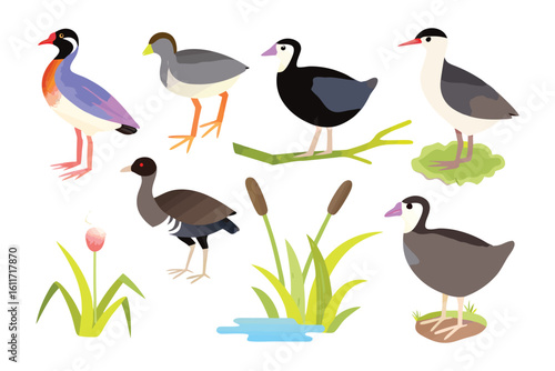Colorful Bird Illustrations: A collection of various illustrations showcasing charming and distinctive birds, with a vibrant style. Perfect for any projects