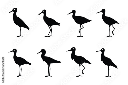 Elegant Silhouette Collection: Capturing the sleek grace and captivating forms of elegant bird silhouettes. Showcasing a study of form, movement, and the allure of nature.