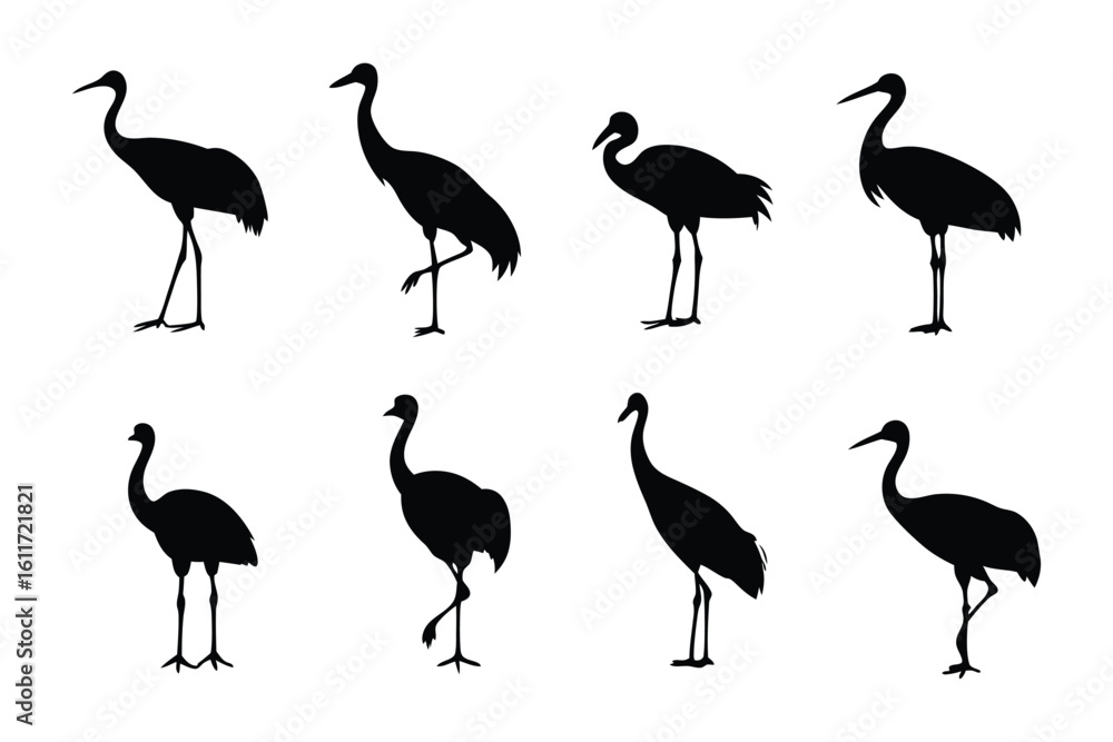 Obraz premium Elegant Cranes in Silhouette: A stark yet beautiful image of cranes, their silhouettes standing proudly, offering a touch of nature's grace.