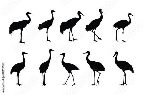 Silhouette Cranes: A collection of elegant crane silhouettes displayed in a clean array, showcasing their graceful forms, and slender legs.