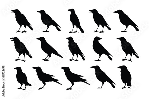 Raven Silhouette in Action: A stunning collection of raven silhouettes showcases the versatile stances of these enigmatic birds, capturing their various movements in perfect detail.
