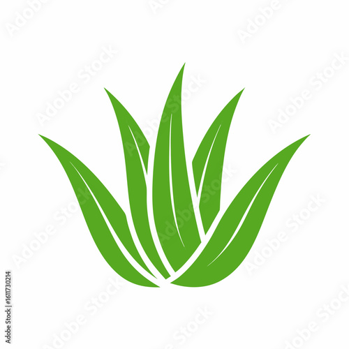 Aloe Vera Plant Vector Icon for Herbal and Skincare Design.