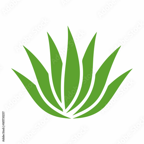 Aloe Vera Plant Vector Icon for Herbal and Skincare Design.