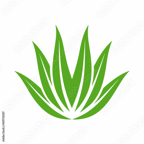 Aloe Vera Plant Vector Icon for Herbal and Skincare Design.