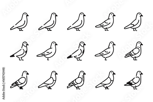 Pigeon Lineup: A meticulously curated sequence of minimalistic pigeon illustrations, showcasing the elegance and grace of these urban avian figures in monochrome simplicity.