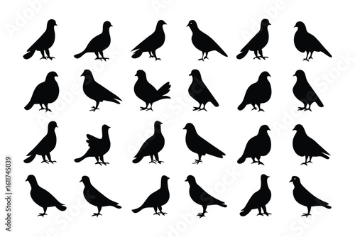 Birds Silhouette Array: A striking silhouette array showcases a gathering of birds. The monochrome display offers a minimalist and impactful aesthetic, perfect for design or thematic projects.