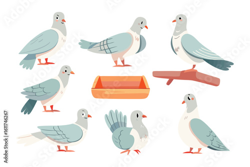 Pigeons Illustration: An illustration showcasing different depictions of pigeons and wooden bird feeder, set in a vibrant scene.