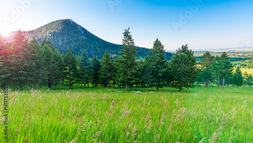 Sunset Over Pine Forest and Mountain Landscape Near Red Lodge, Montana – Scenic Rocky Mountain View