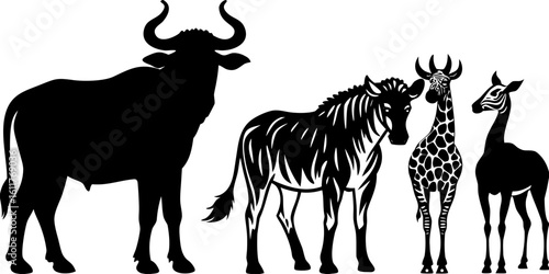 Vector  silhouette illustration of a wildebeest zebra giraffe and okapi standing side by side in black and white