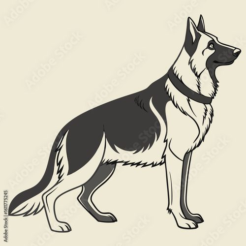 German Shepherd Dog Standing Proudly in Profile Vector Illustration