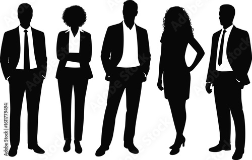Diverse group of business professionals standing together in silhouette
