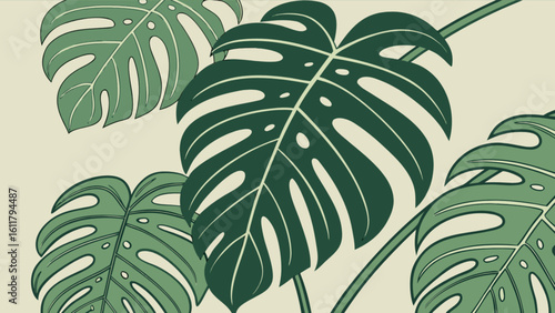 Monstera deliciosa leaf illustration vector tropical plants botanical foliage nature wallpaper design art print