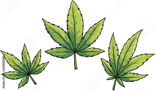  A cartoon vector illustration of three marijuana leaves