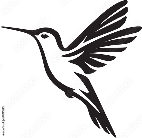 Hummingbird silhouette in flight vector, Small bird hovering black and white