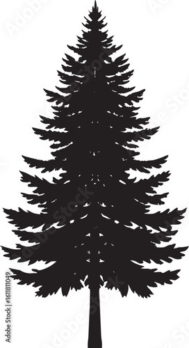 A stark black silhouette of a mature evergreen tree with dense branches stands tall against a clean white background.