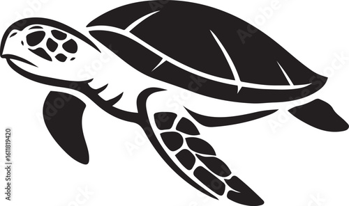 Sea turtle on white background illustration, Black aquatic reptile vector