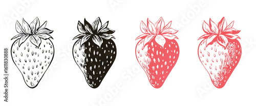 Stylized Strawberries in Various Colors Hand Drawn Illustration Fresh Fruit Design Element Sweet Berry Concept Summer Food Artwork and Decoration