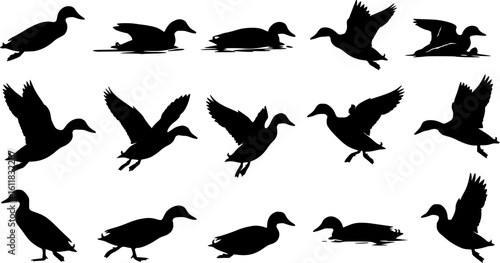 Set of duck silhouette vector illustration
