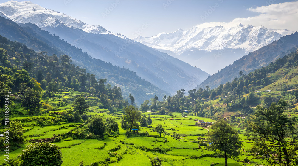 Fototapeta premium Lush green terraced rice paddies nestled in a valley, with snow-capped mountains in the background. The scene is serene and tranquil, showcasing the beauty of the Himalayas