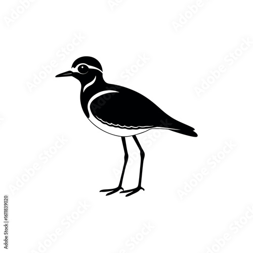 A killdeer Bird's silhouette art vector illustration.