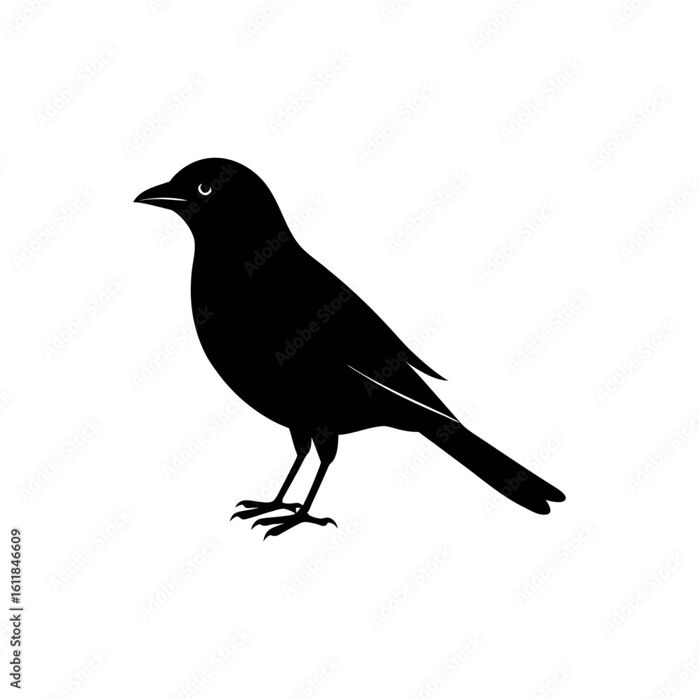 A waxwing Bird's silhouette art vector illustration. A waxwing Bird's silhouette art vector illustration.
