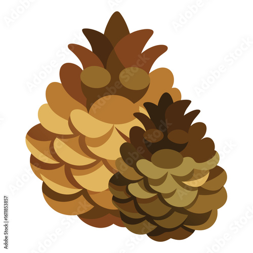 Pinecones Vector Illustration.eps