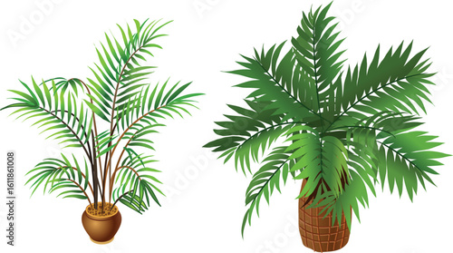 Indoor plants on a light background for interior design in isometric.