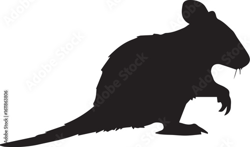 Black vector of a wombat with a stout body