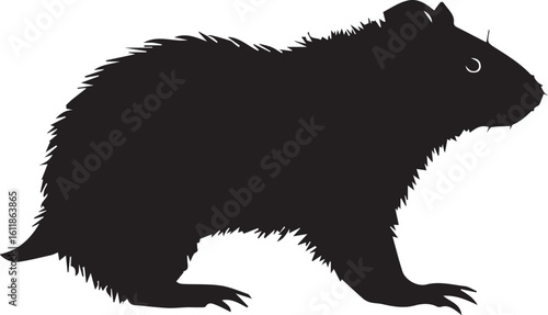 Black vector of a wombat with a stout body