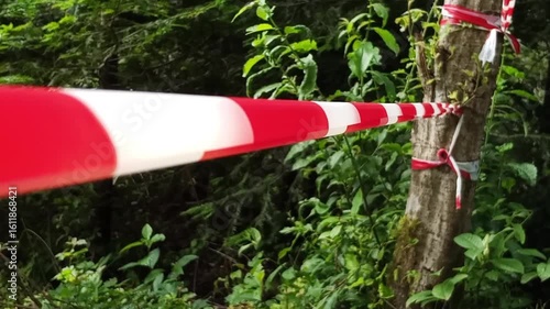 A red and white ribbon tied to a tree flutters gently in the wind. The tape waves against a natural forest backdrop, symbolizing marking, restriction, or navigation in an outdoor environment.