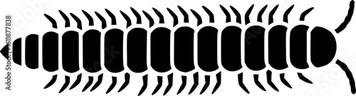insect illustration depicts a segmented black millipede arthropod, displaying distinctive body structure
