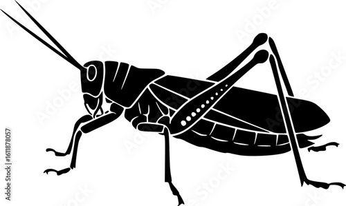 katydid silhouette line art vector illustration with a white background
