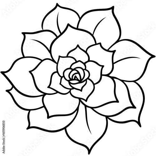 Black and white succulent plant silhouette isolated on white background