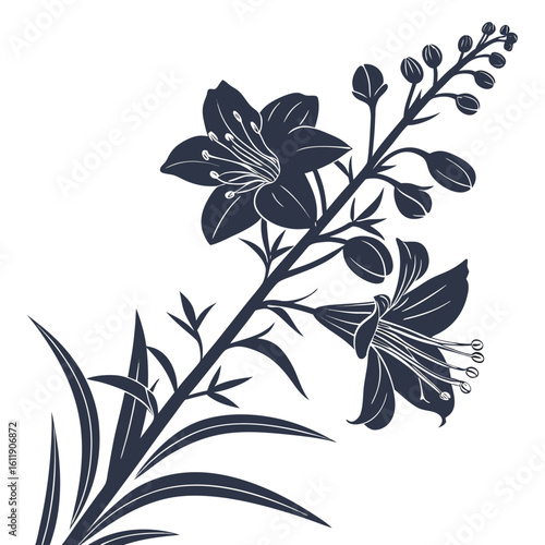 black and white verbascum southern charm
